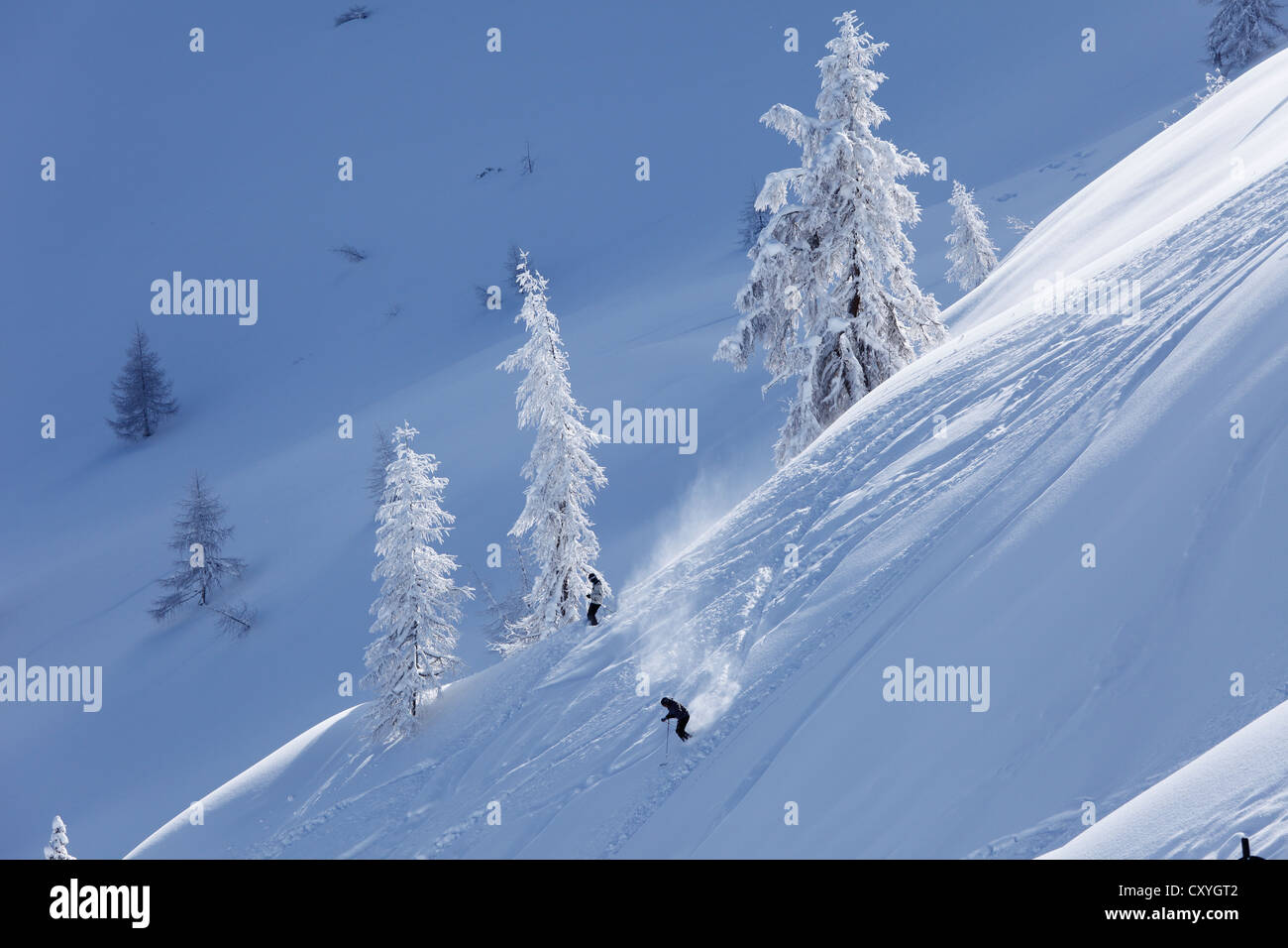 Tiefschnee, Skipiste Hahn'l Piste, Skigebiet Reiteralm, Pichl-Preunegg bei Schladming, Steiermark, Österreich, Europa Stockfoto