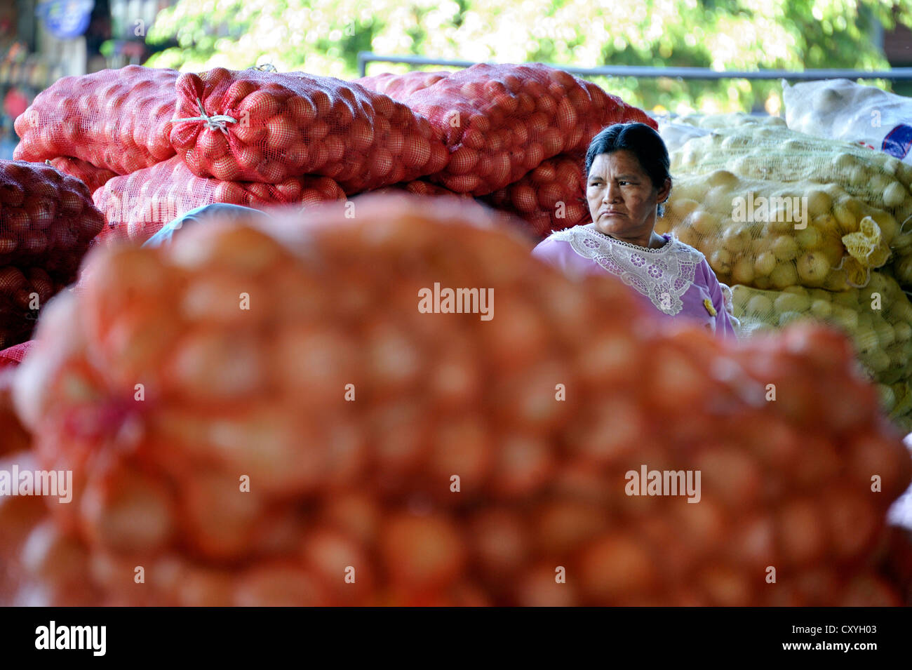 Anbieter, CENMA, Gemüse Großmarkt im Süden von Guatemala-Stadt, Guatemala, Mittelamerika Stockfoto Anbieter, CENMA, Gemüse Großmarkt im Süden von Guatemala-Stadt, Guatemala, Mittelamerika Stockfoto