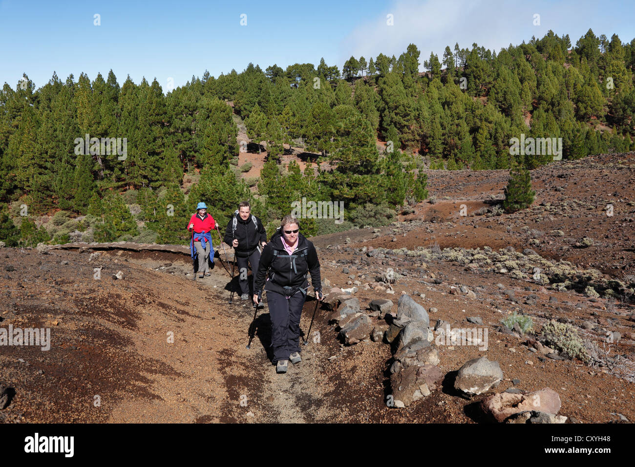 Wanderer auf der Vulkanroute Ruta de Los Vulkane, La Palma, Kanarische Inseln, Spanien, Europa Stockfoto