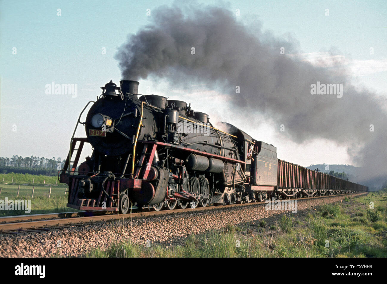 Amerikanische Dampf skaliert bis m Spurweite Betrieb als Texas Typ 2-10-4 Baldwin Baujahr 1940 leitet einen Rake von Kohle Leergut. Stockfoto