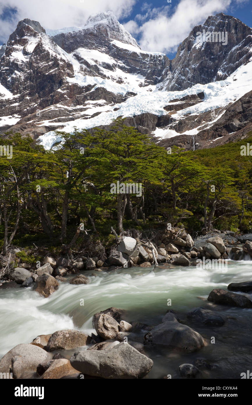 Gletscherfluss im Französisch-Tal, Blick auf den schneebedeckten Berg Cordilera Paine Grande, Torres del Paine Nationalpark Stockfoto