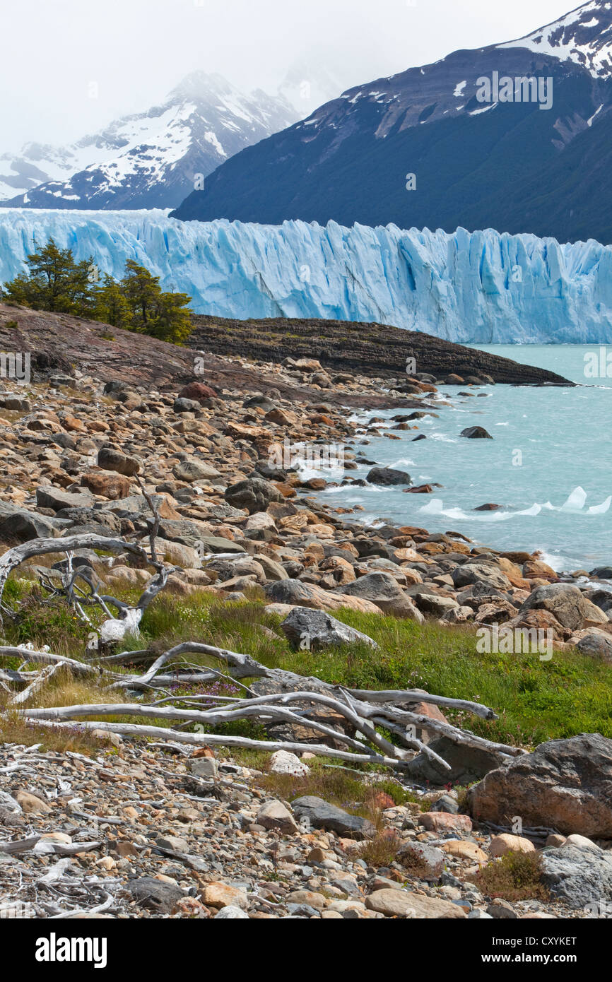 Gletschereis aus der Perito-Moreno-Gletscher am See der Lago Argentino, Region Santa Cruz, Patagonien, Argentinien, Südamerika Stockfoto