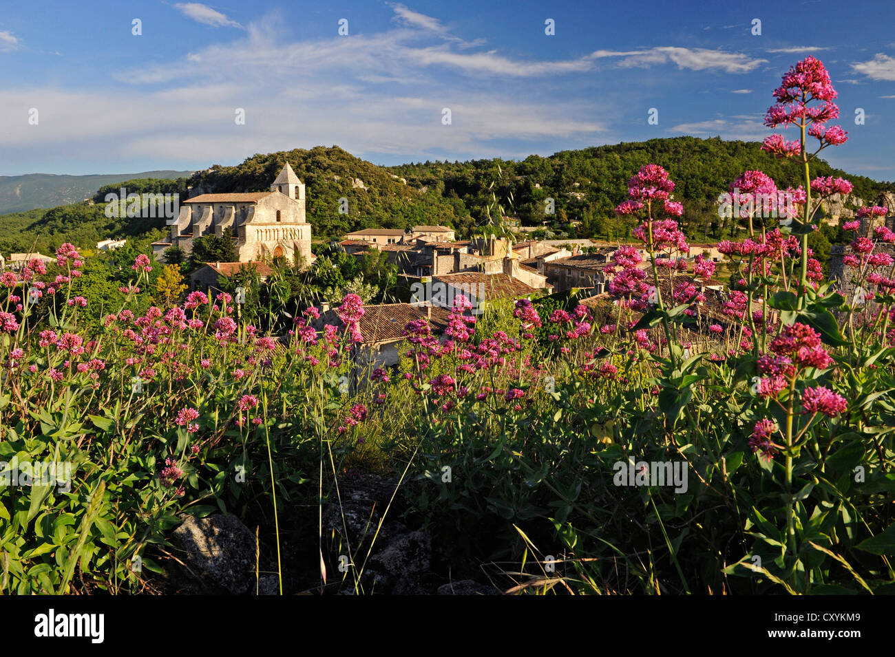 Dorf Saignon, Département Vaucluse, Provence-Alpes-Côte d ' Azur, Frankreich, Europa Stockfoto