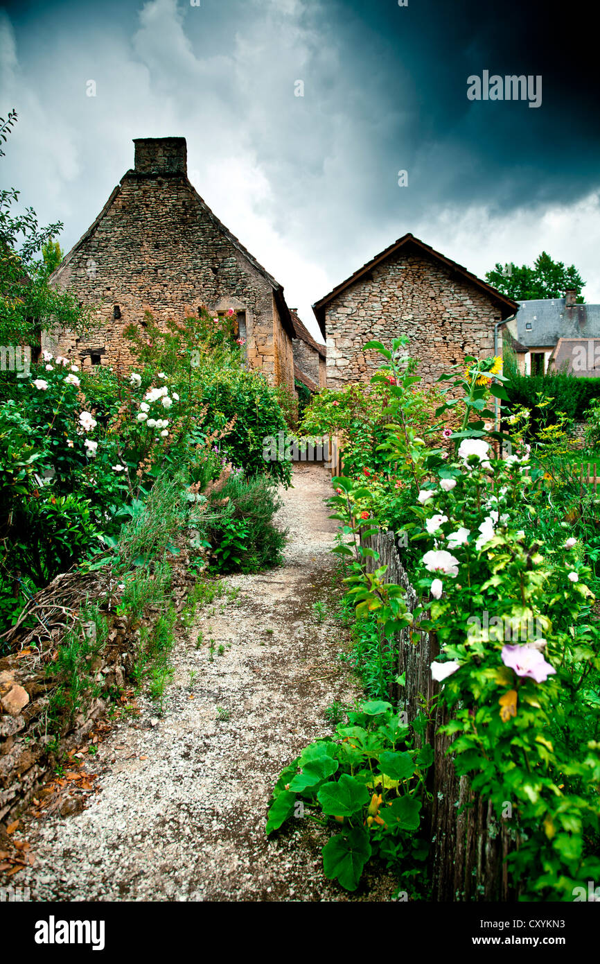 Obstgarten in Saint-Léon-Sur-Vézère, Vézère-Tal, Perigord, Frankreich, Europa Stockfoto