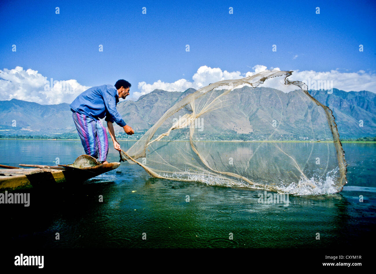 Traditionelles Fischen auf See Dal, Srinagar, Jammu und Kaschmir, Indien, Asien Stockfoto