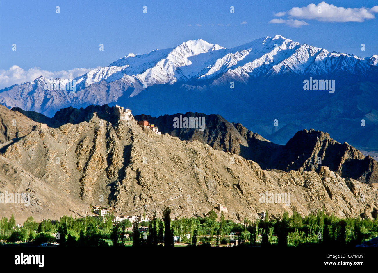 Leh Gompa mit Ladakh Bergen im Rücken, Leh, Indien, Asien Stockfoto