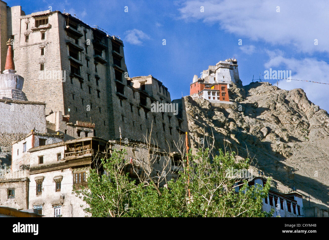 Palast und Gompa mit Blick auf Leh, Jammu und Kaschmir, Indien, Asien Stockfoto