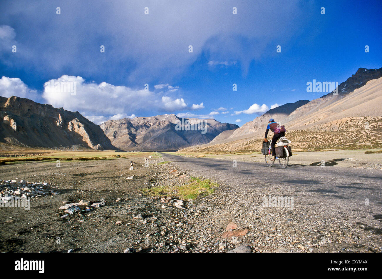Radfahrer, Radfahren auf dem 4, 200 m hohen Changtang Plateau in Richtung Leh, Changtang, Indien, Asien Stockfoto