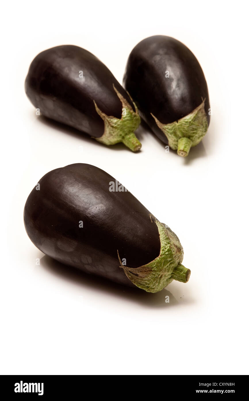 Aubergine oder Auberginen isoliert auf einem weißen Studio-Hintergrund. Stockfoto