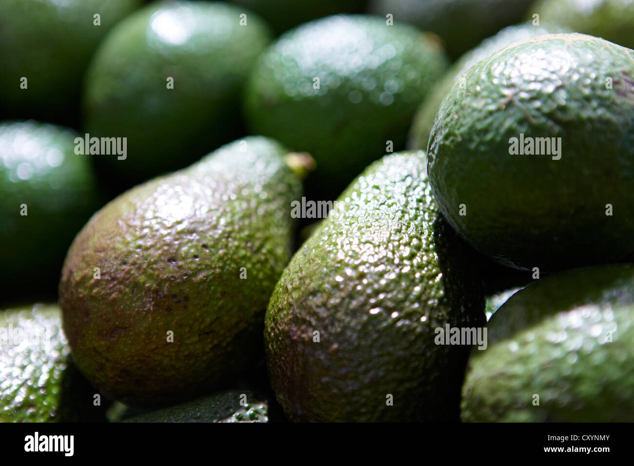 Avocado-Bio-Obst und Gemüse stall Stockfoto