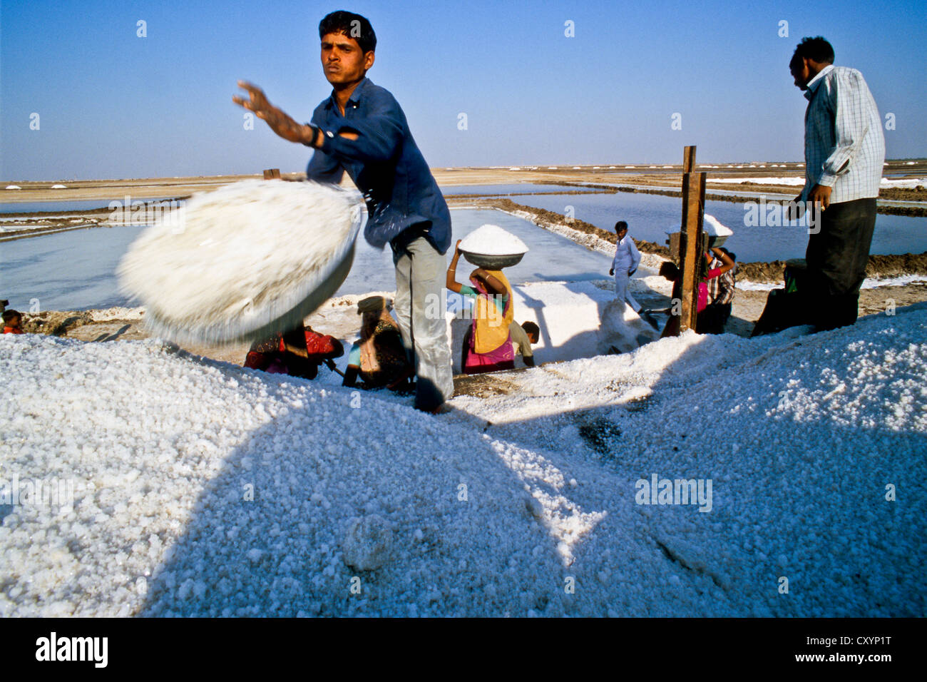 Kochsalzlösung Arbeiter laden Salz auf LKW, Malya, Gujarat, Indien Stockfoto