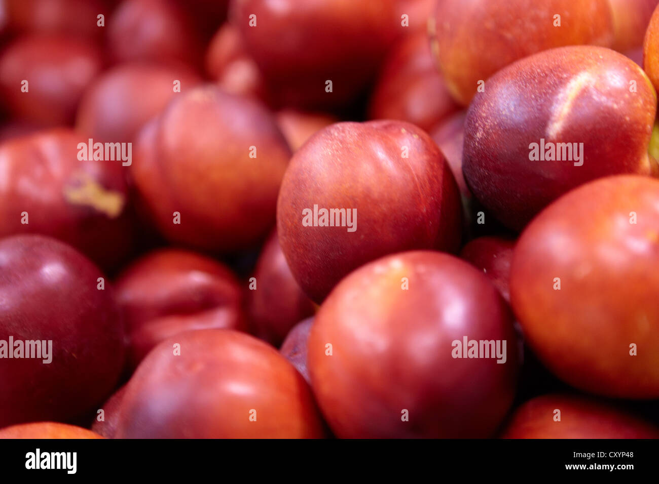 Nektarinen-Bio-Obst und Gemüse stall Stockfoto