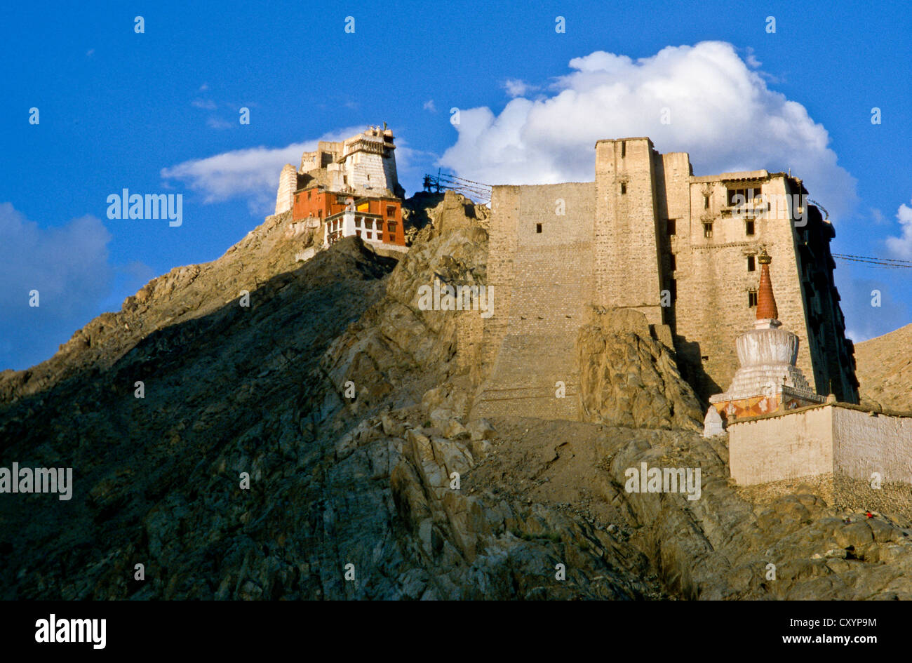 Palast und Gompa mit Blick auf Leh, Leh, Jammu und Kaschmir, Indien, Asien Stockfoto