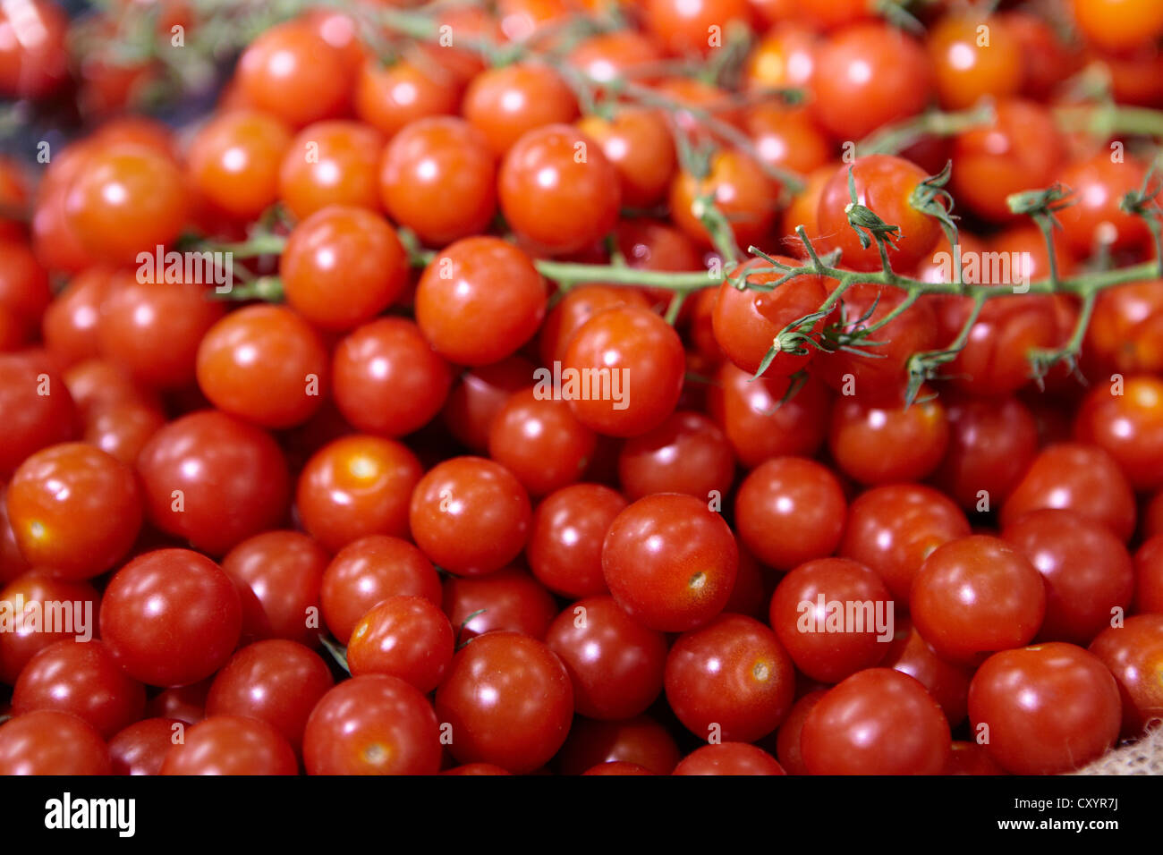 Bio-Lebensmittel-Stall-Tomaten Stockfoto