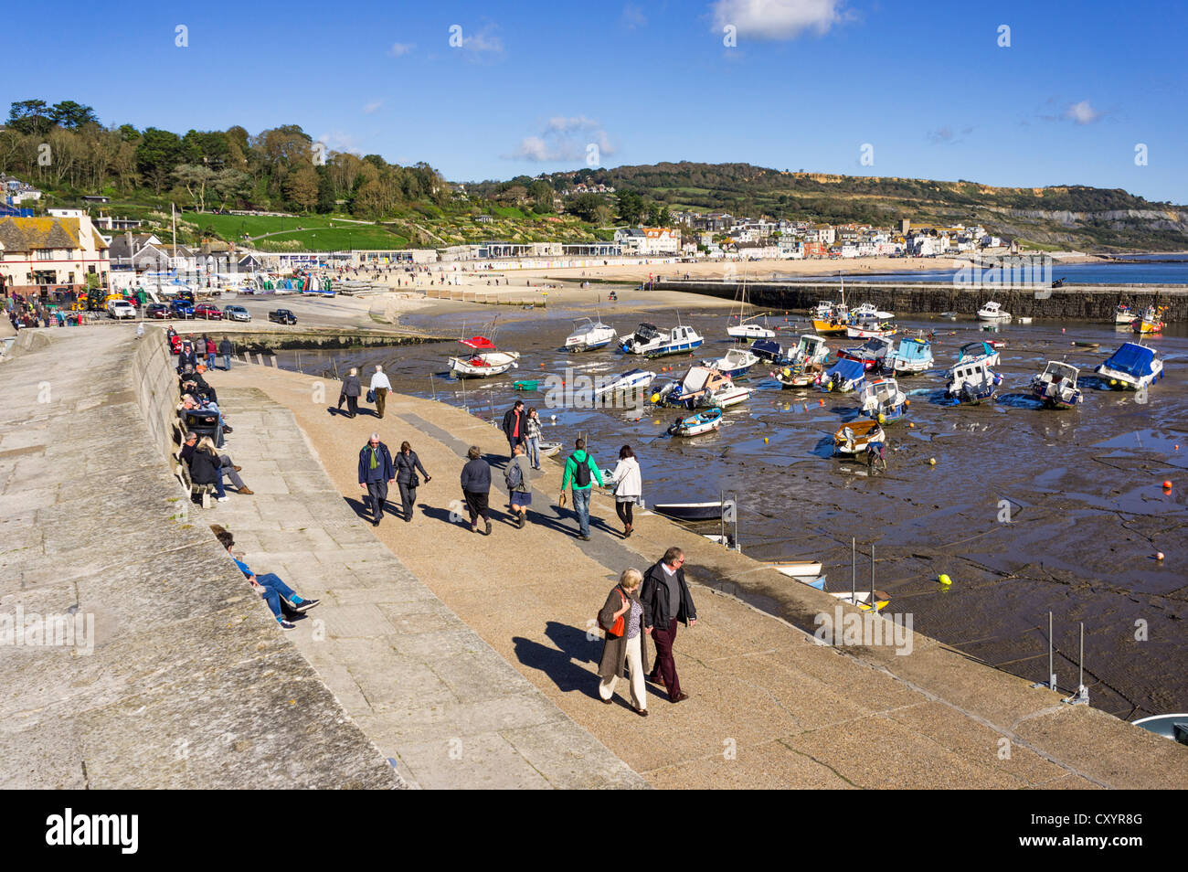 Menschen zu Fuß neben dem Hafen und Cobb bei Lyme Regis, Dorset, Großbritannien Stockfoto
