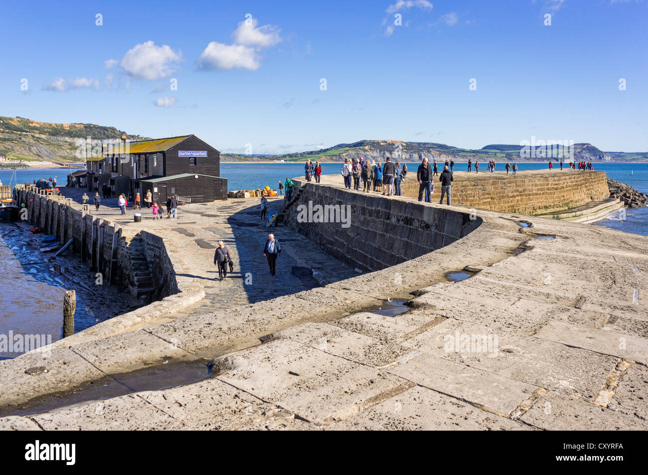 Cobb Lyme Regis, Dorset, Großbritannien mit Touristen Stockfoto