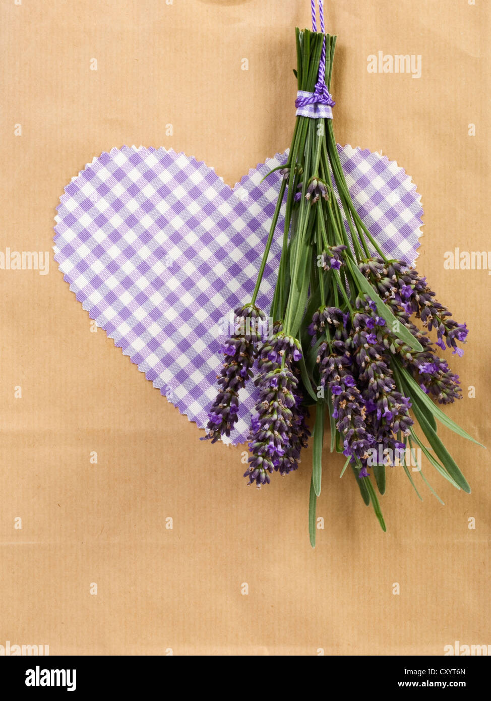 Reihe von Lavendel hing, trocken, Altpapier mit Stoff Herzen auf Hintergrund Stockfoto