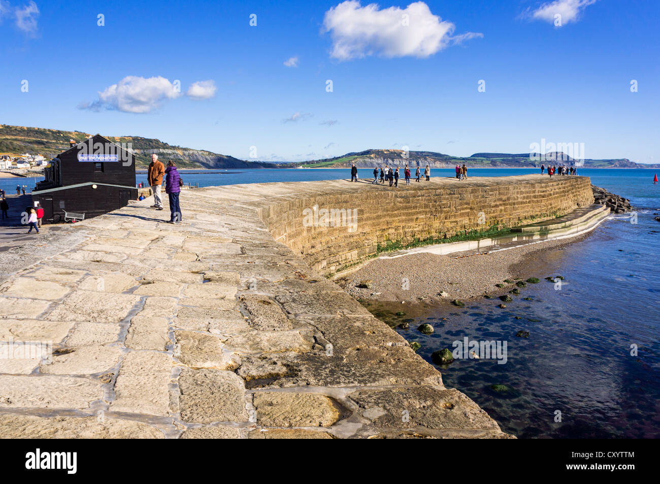 Lyme Regis, die Cobb, Dorset, Großbritannien Stockfoto