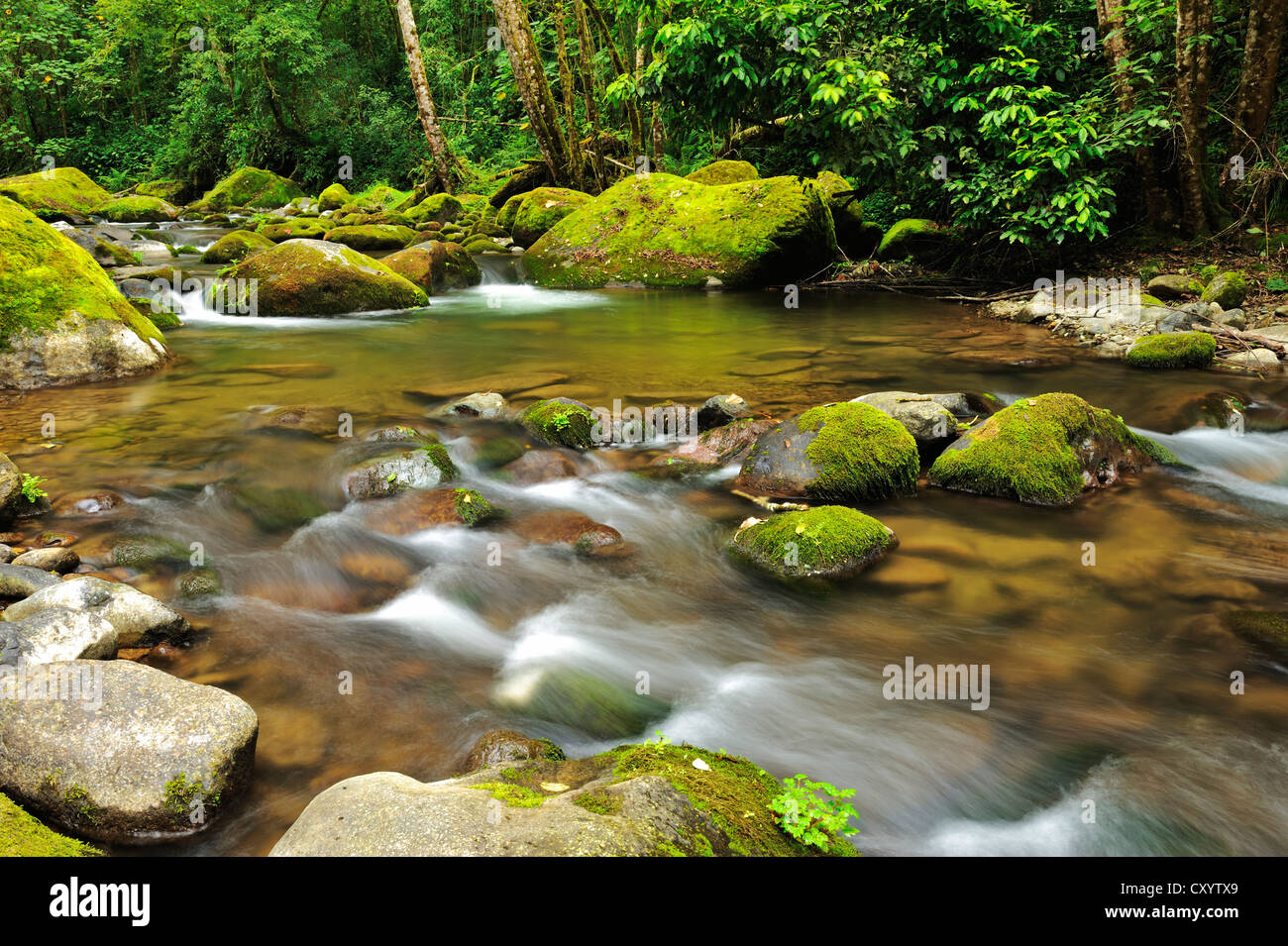 Rio Savegre, San Gerardo de Dota, Costa Rica, Mittelamerika Stockfoto