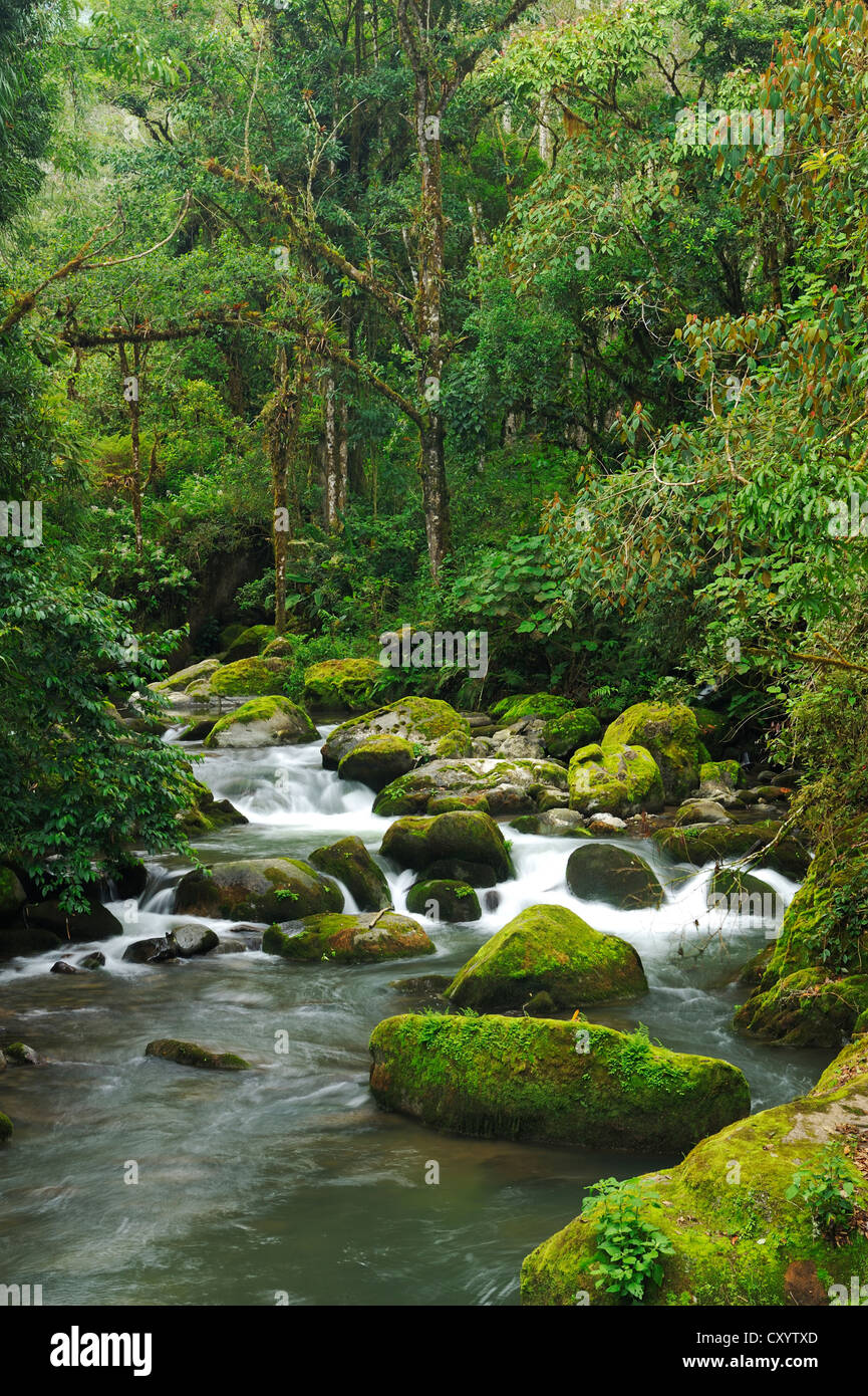 Rio Savegre, San Gerardo de Dota Costa Rica, Mittelamerika Stockfoto