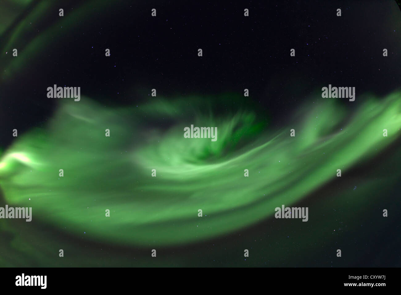 Wirbelnden nördlichen Polarlichter, seltene Overhead anzuzeigen, Aurora Borealis, grün, in der Nähe von Whitehorse, Yukon Territorium, Kanada Stockfoto