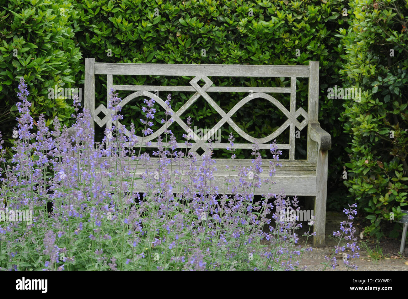 Holzbank in einem Park, einem Wisley Garden, Südwest-England, Vereinigtes Königreich, Europa Stockfoto