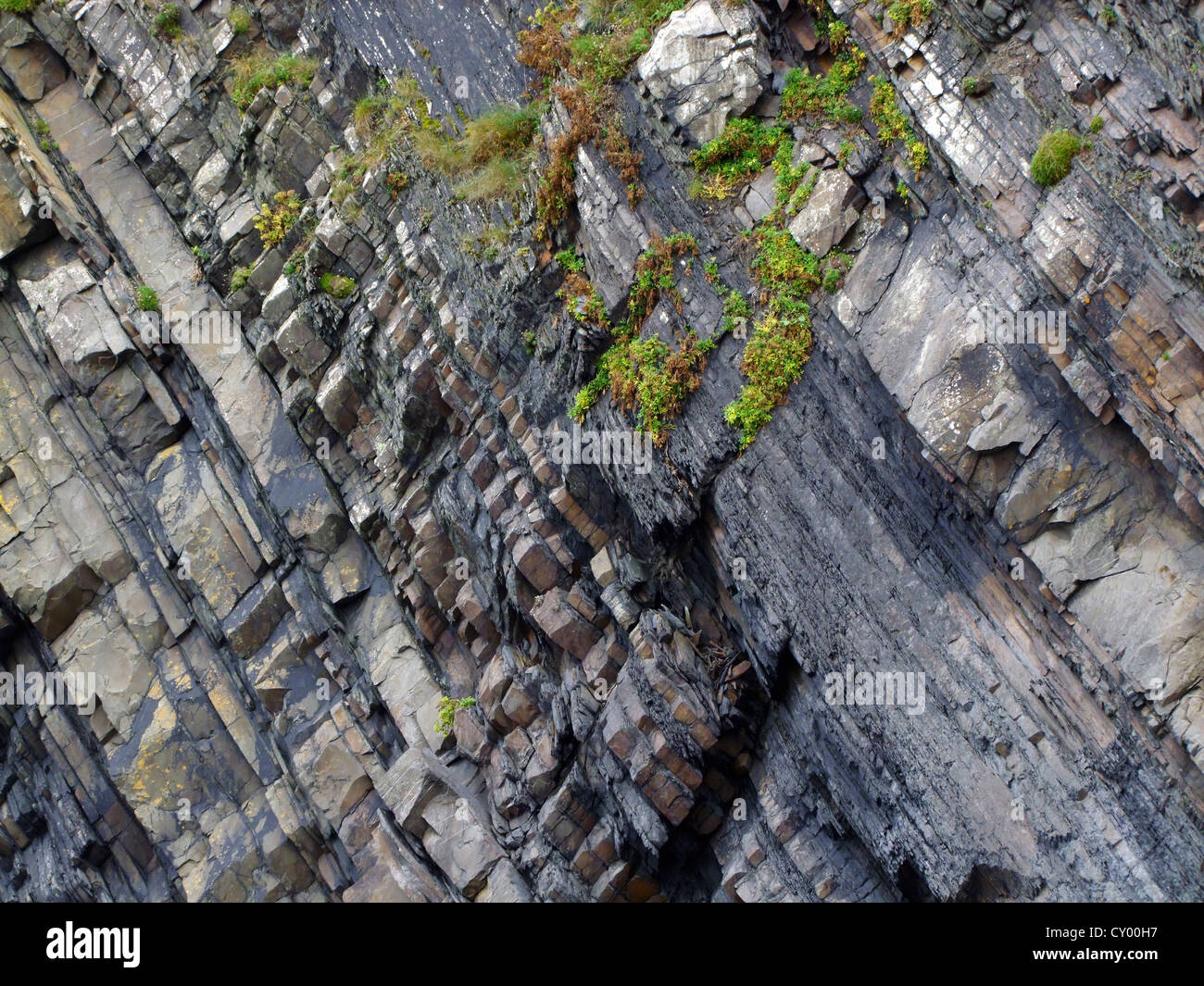Felsformation zeigen Sedimentschichten am Hartland Quay, Devon, UK Stockfoto