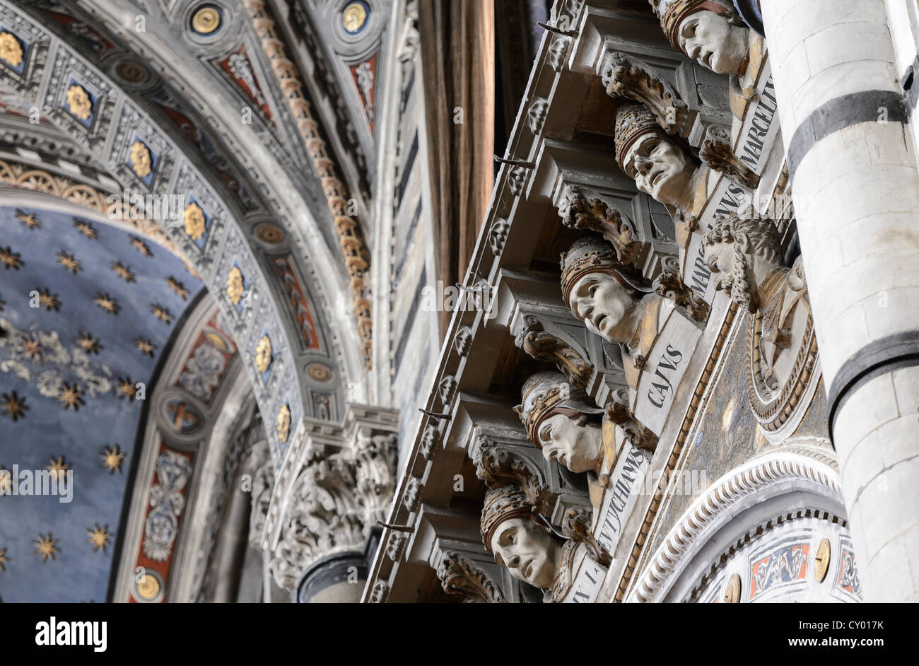 Innenansicht, Galerie mit Büsten der Päpste, Dom von Siena, Cattedrale di Santa Maria Assunta Stockfoto