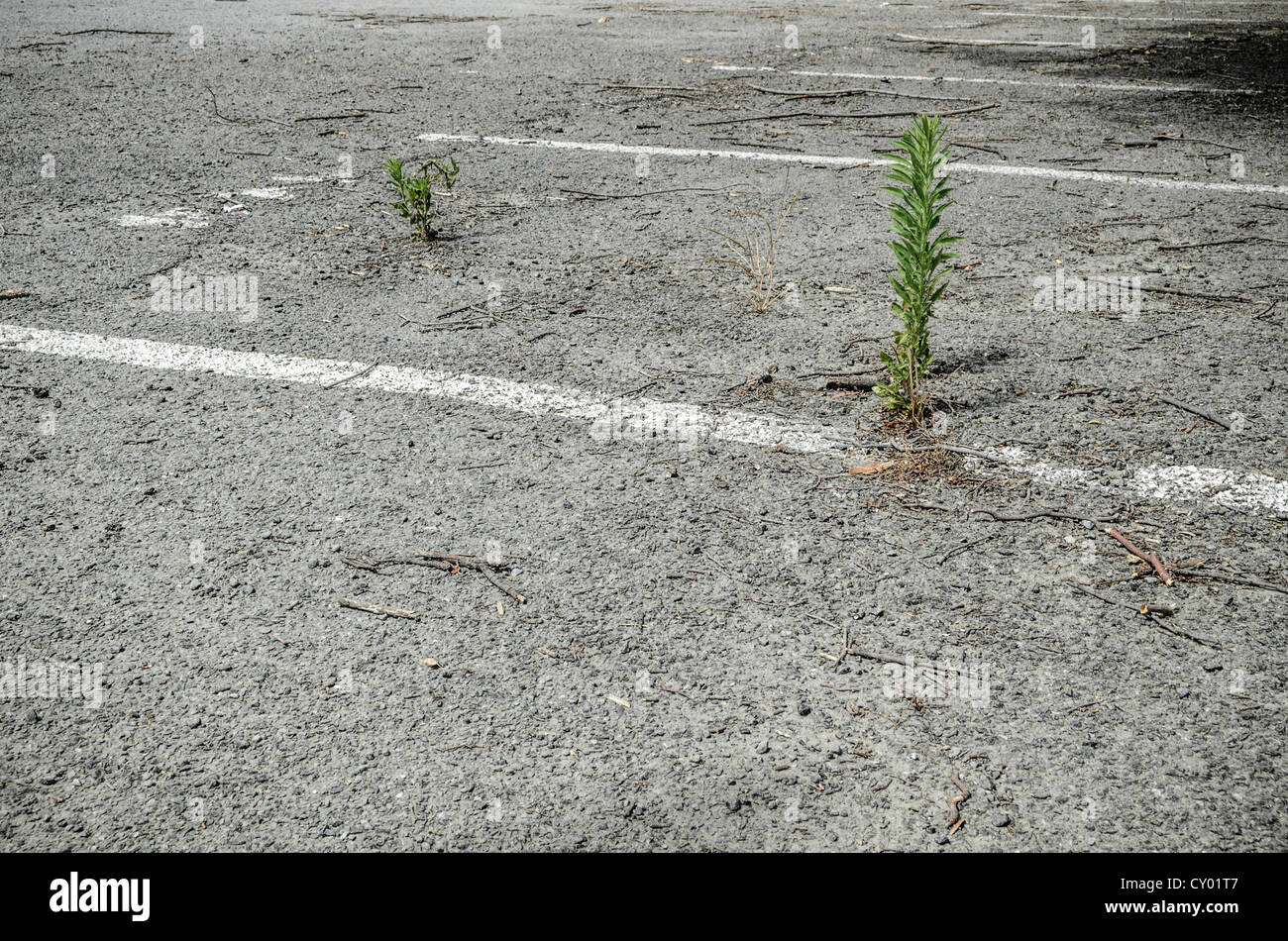 Verlassenen Parkplatz in der evakuierten Erdbeben von Christchurch, Südinsel, Neuseeland Stockfoto