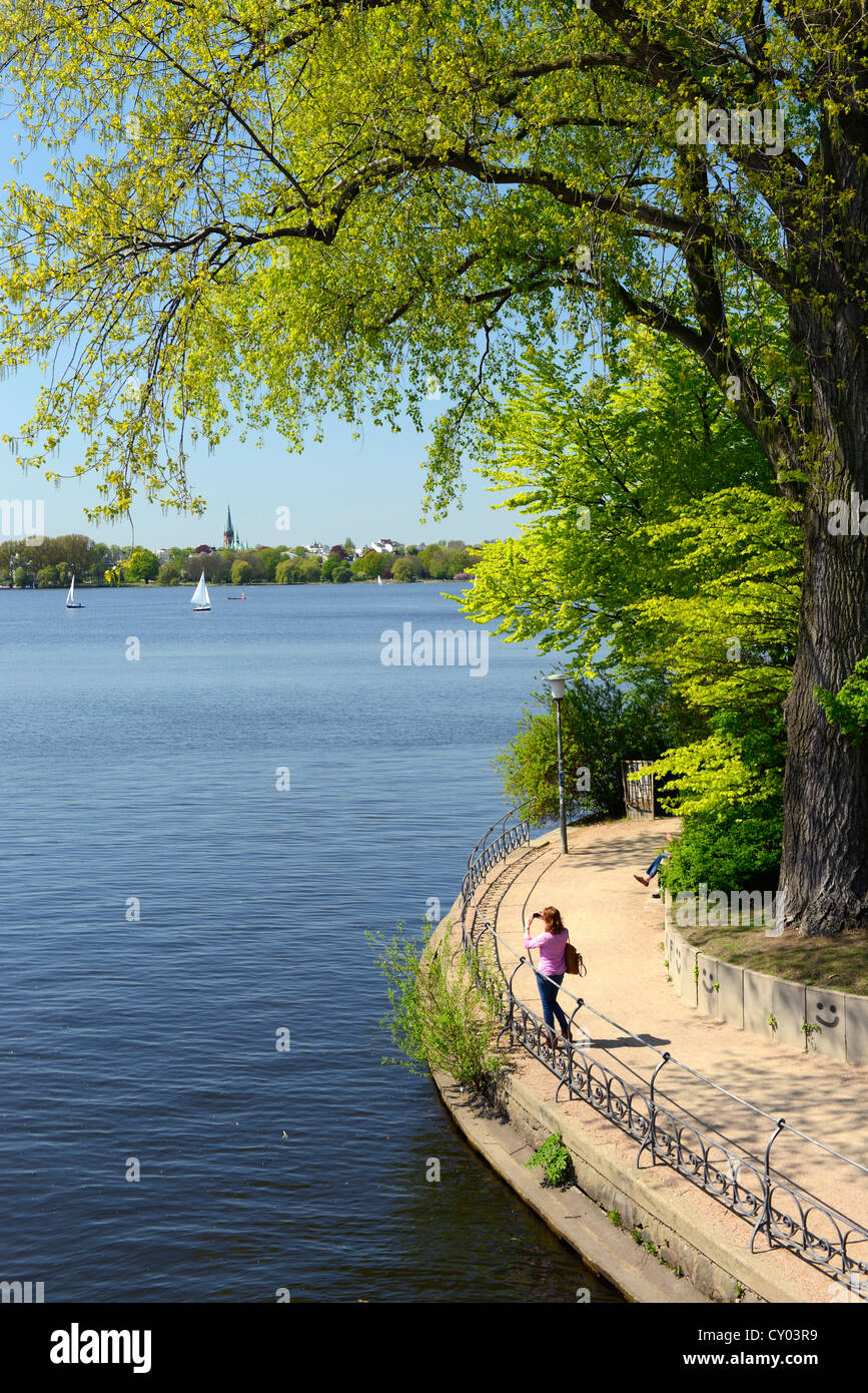 Außenalster oder Außenalster am Schwanenwik Ufer im Stadtteil Uhlenhorst, Hamburg Stockfoto