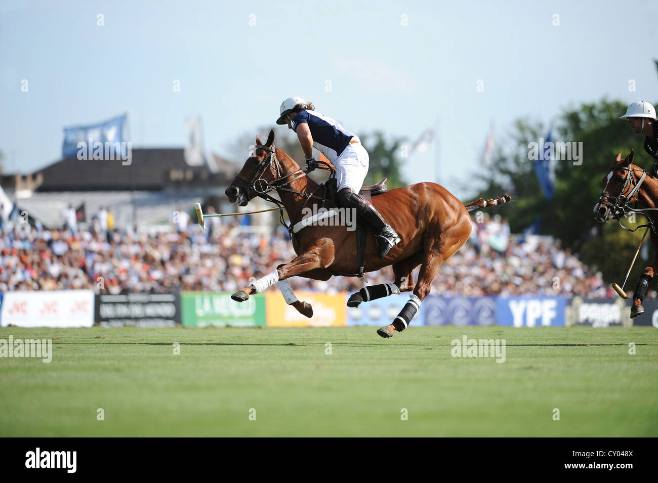 Polo-Spieler mit Ball, alle Hufe des Pferdes in der Luft, eines der berühmtesten Turniere in Hurlingham, Argentinien Stockfoto Polo-Spieler mit Ball, alle Hufe des Pferdes in der Luft, eines der berühmtesten Turniere in Hurlingham, Argentinien Stockfoto