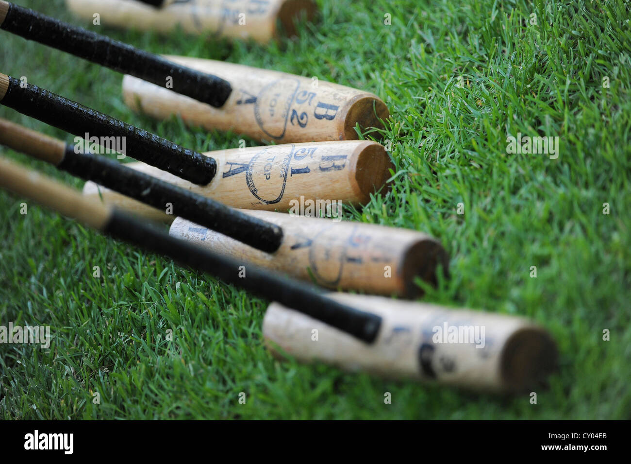 Polo Schlägel, Detailansicht der Köpfe, genannt "Zigarren" Stockfoto