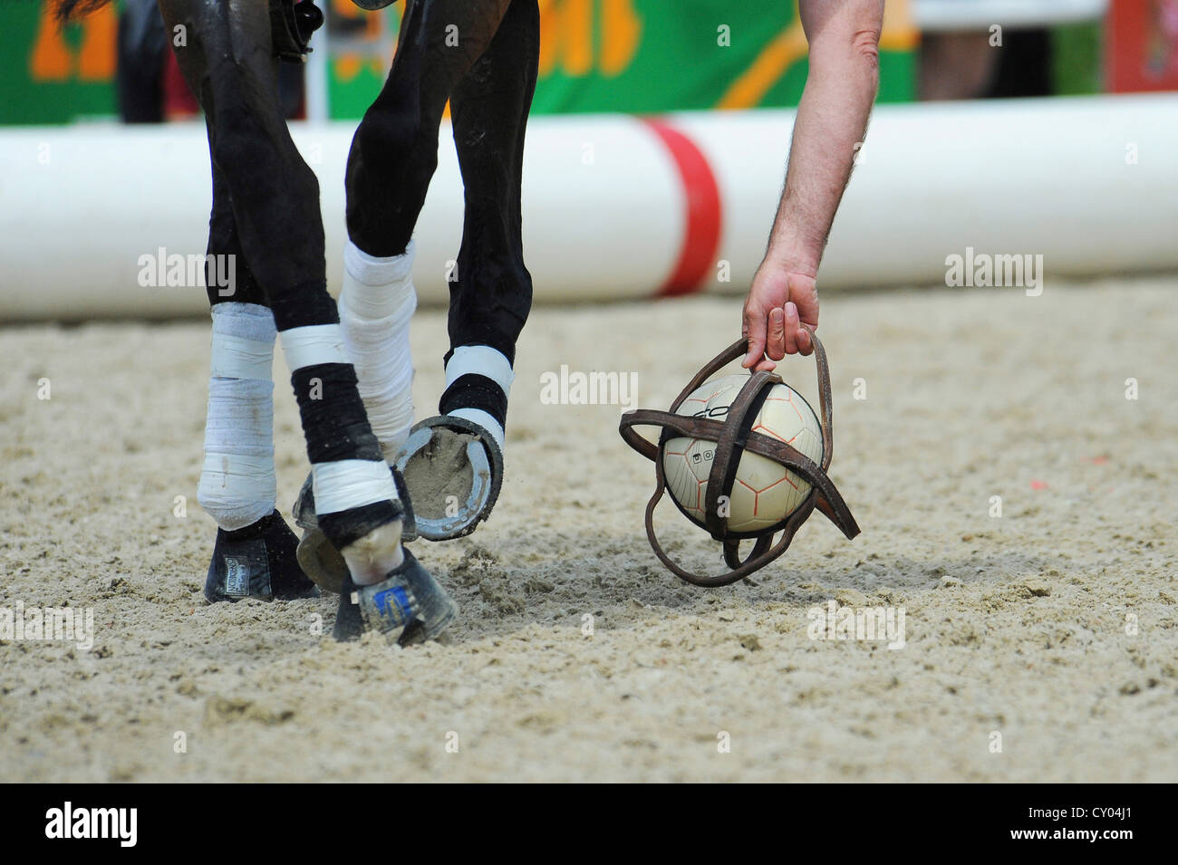 Ein Horseball-Spieler den Ball aufnehmen Stockfoto