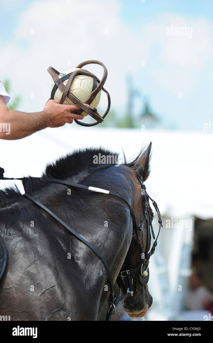 Ein Horseball-Spieler, einen Ball in der hand Stockfoto