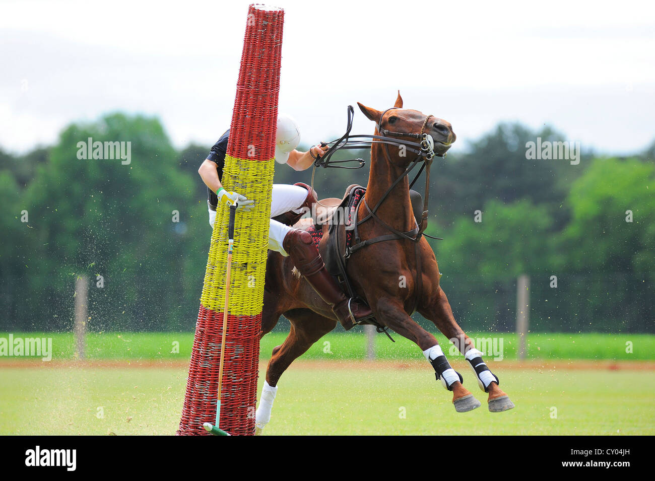 Ein Polospieler reitet gegen einen Torpfosten, Ebreichsdorf, Niederösterreich, Österreich Stockfoto