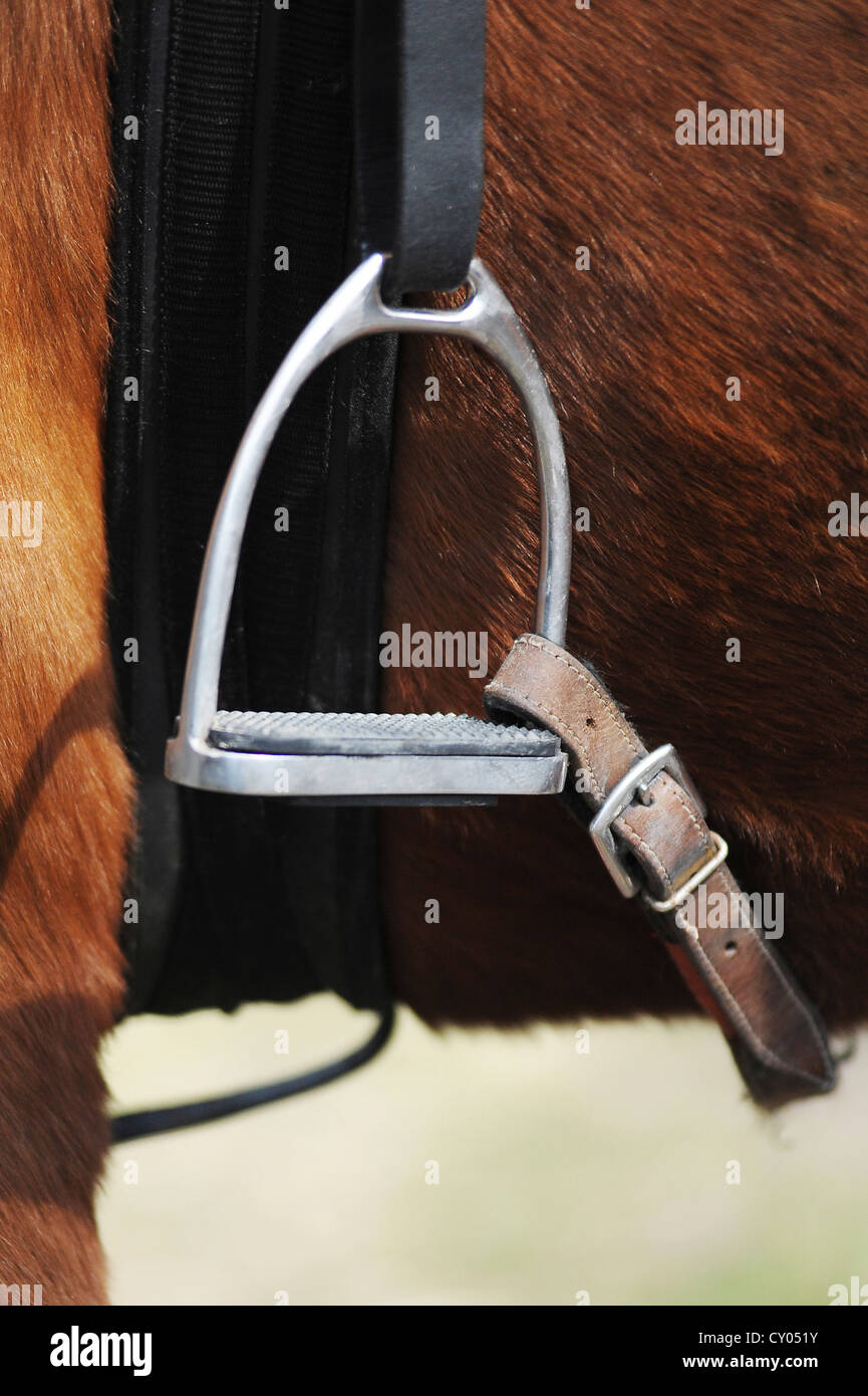 Ein Bügel mit einer Leder-Verbindung in Horseball benötigt Stockfoto