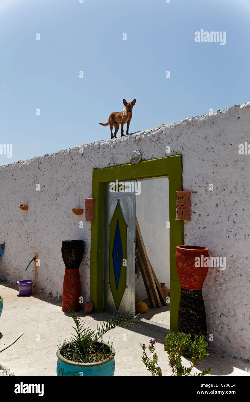 Eingang einer Genossenschaft, die Herstellung von Argan-Öl in der Nähe von Essaouira, Region von Afrika, Maghreb, Marokko, Marrakech-Tensift-Al Haouz Stockfoto