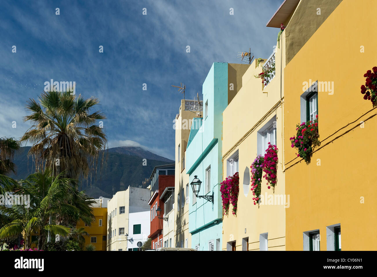 Puerto De La Cruz, den Teide auf der Rückseite, Teneriffa, Kanarische Inseln, Spanien, Europa Stockfoto