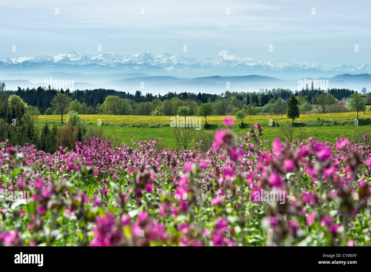 Hoechenschwand Fotos und Bildmaterial in hoher Auflösung Alamy