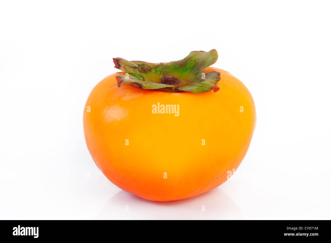 Kaki Früchte auf weißem Hintergrund Stockfoto