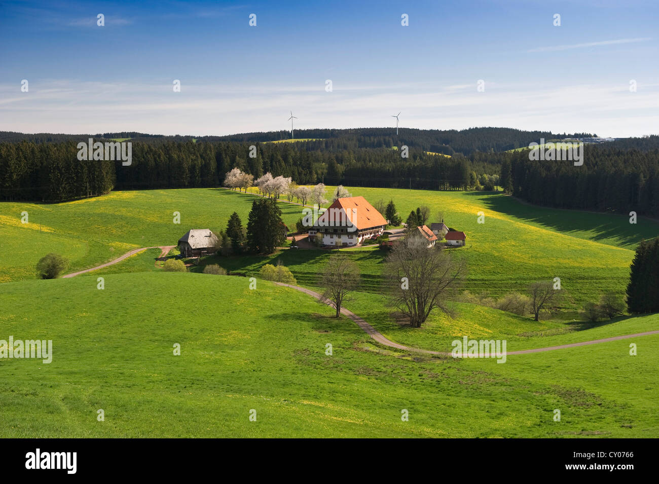 Unterfallengrundhof Bauernhof in der Nähe von Guetenbach, Schwarzwald, Baden-Württemberg Stockfoto