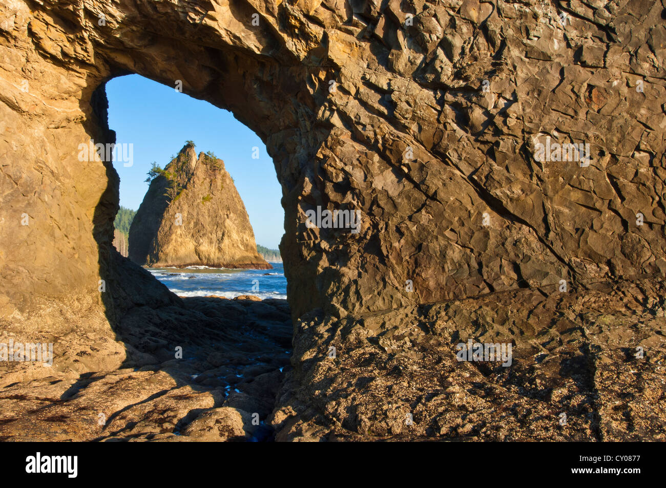 Hole In The Wall Arch markiert das Ende des Rialto Strand, Olympic Nationalpark, Washington, USA Stockfoto