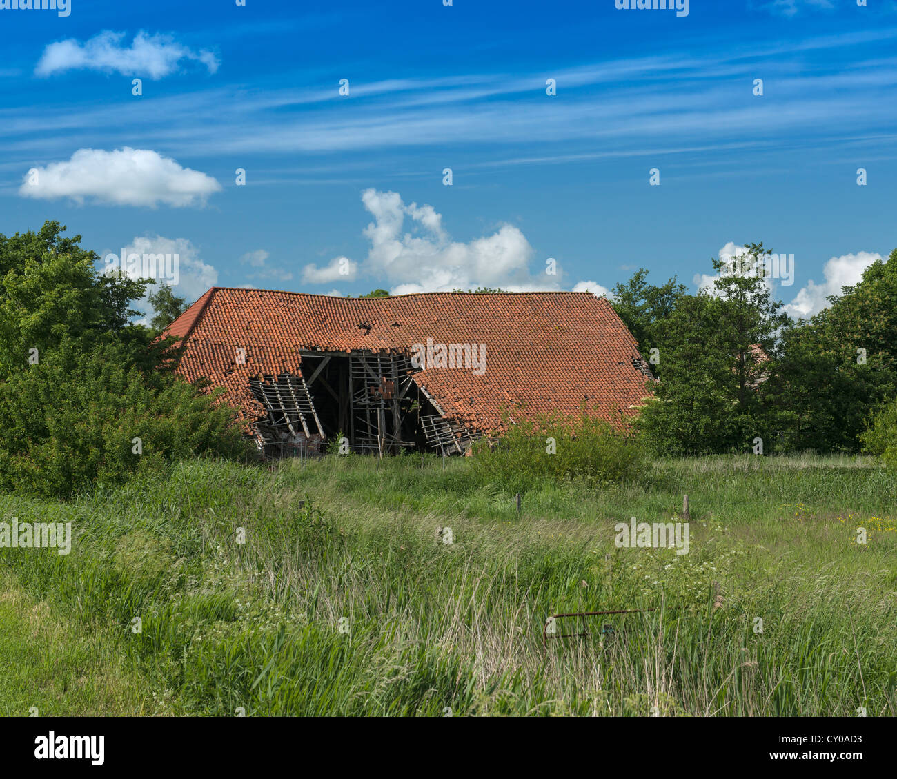 Alten Barden mit teilweise eingestürzten Dach, ehemaligen Gulfhof ostfriesischen Gebäude in der Nähe von Hinte, Ostfriesland, Niedersachsen Stockfoto