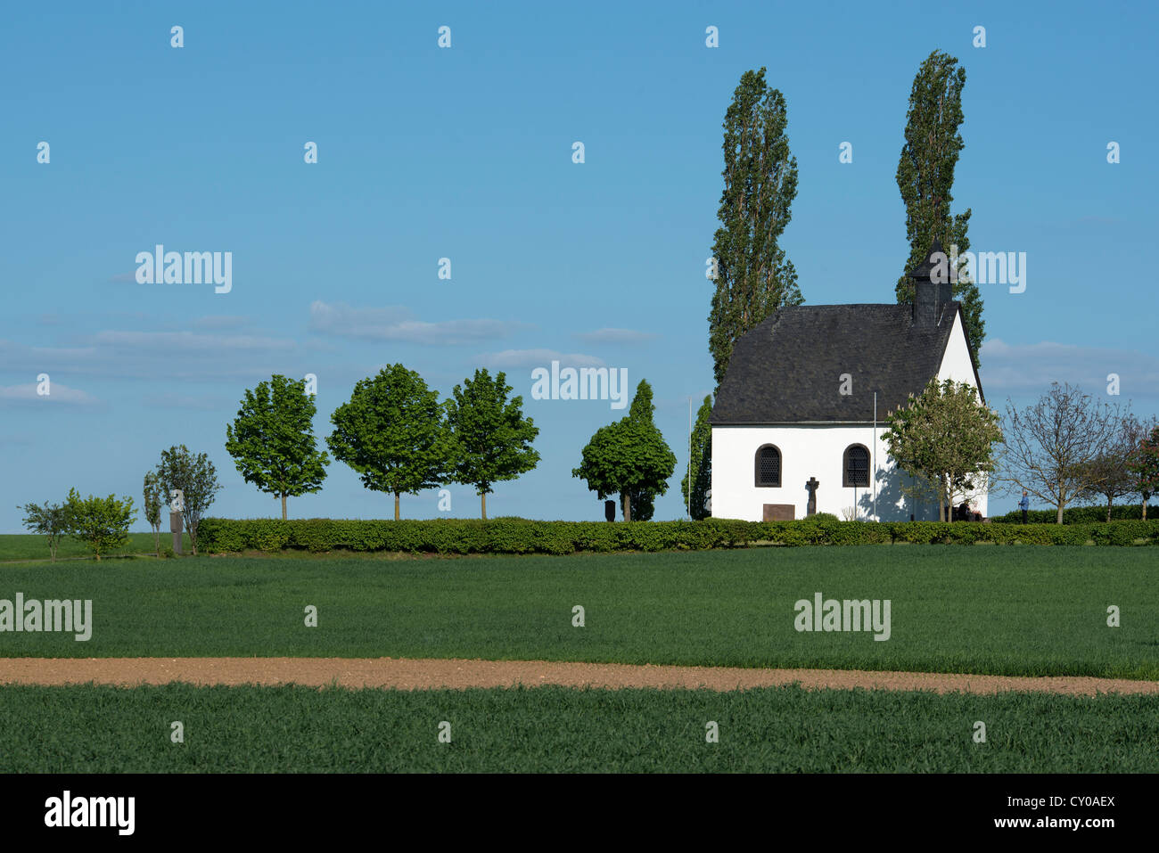 Heilig-Kreuz-Kapelle, Kapelle des Heiligen Kreuzes, Mertloch, Rheinland-Pfalz, PublicGround Stockfoto