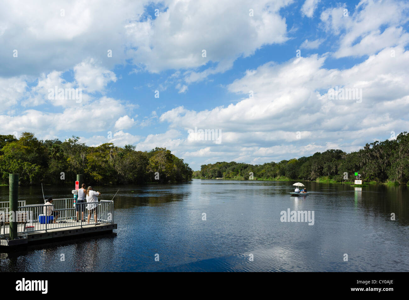 Der St. Johns River in Blue Spring State Park in der Nähe von Orange City, Zentral-Florida, USA Stockfoto