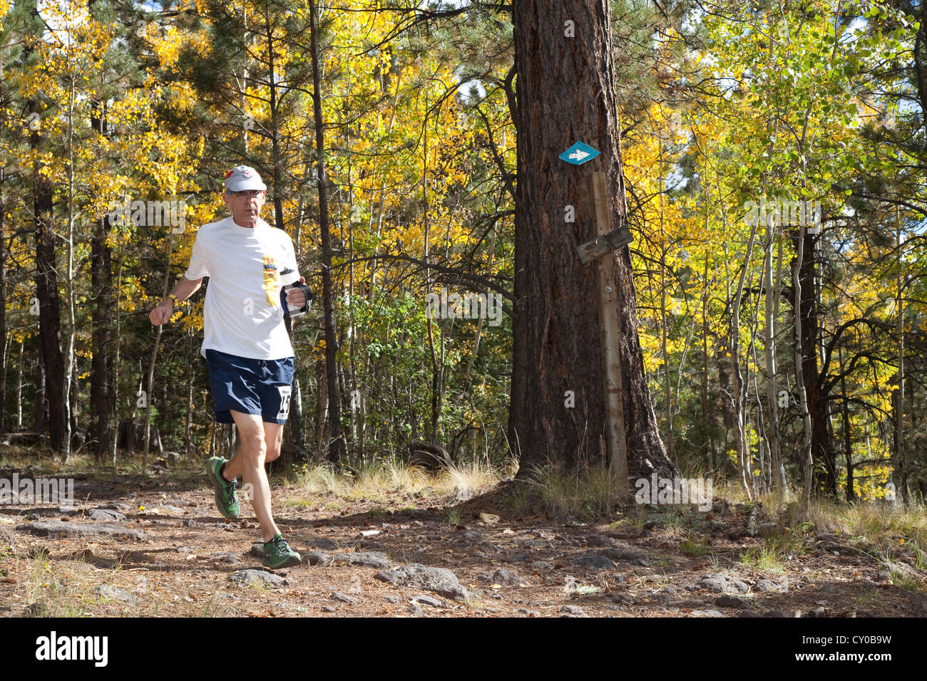 Mt Taylor 50K, ersten konstituierenden Ultramarathon 29. September 2012 - Mt Taylor, San Mateo Mountains in New Mexico Stockfoto