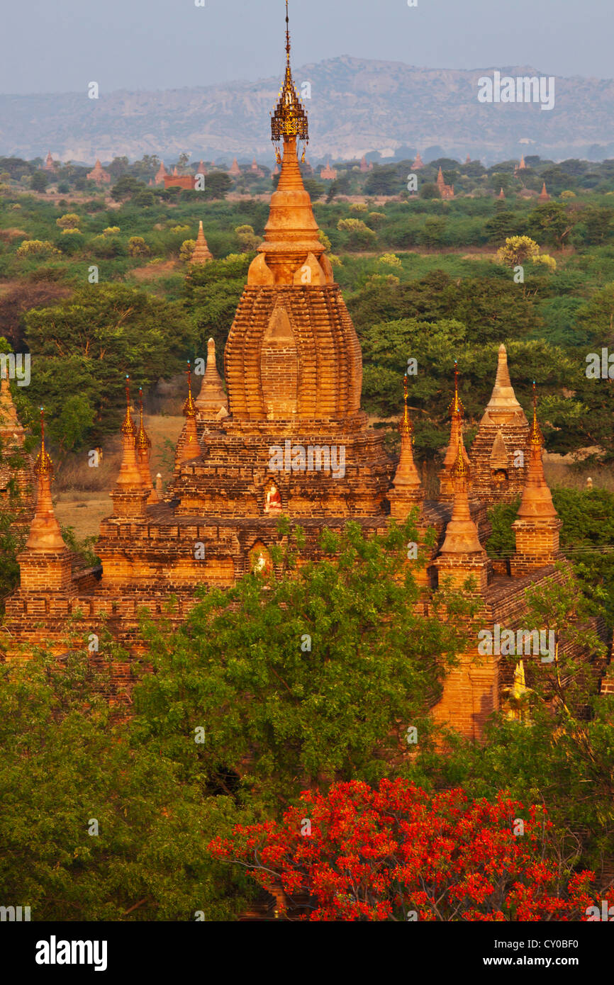 Blick auf den KUTHA-Tempel von der DHAMMAYAZIKA-Pagode von Narapatisithu - BAGAN, MYANMAR 1196 n. Chr. abgeschlossen Stockfoto