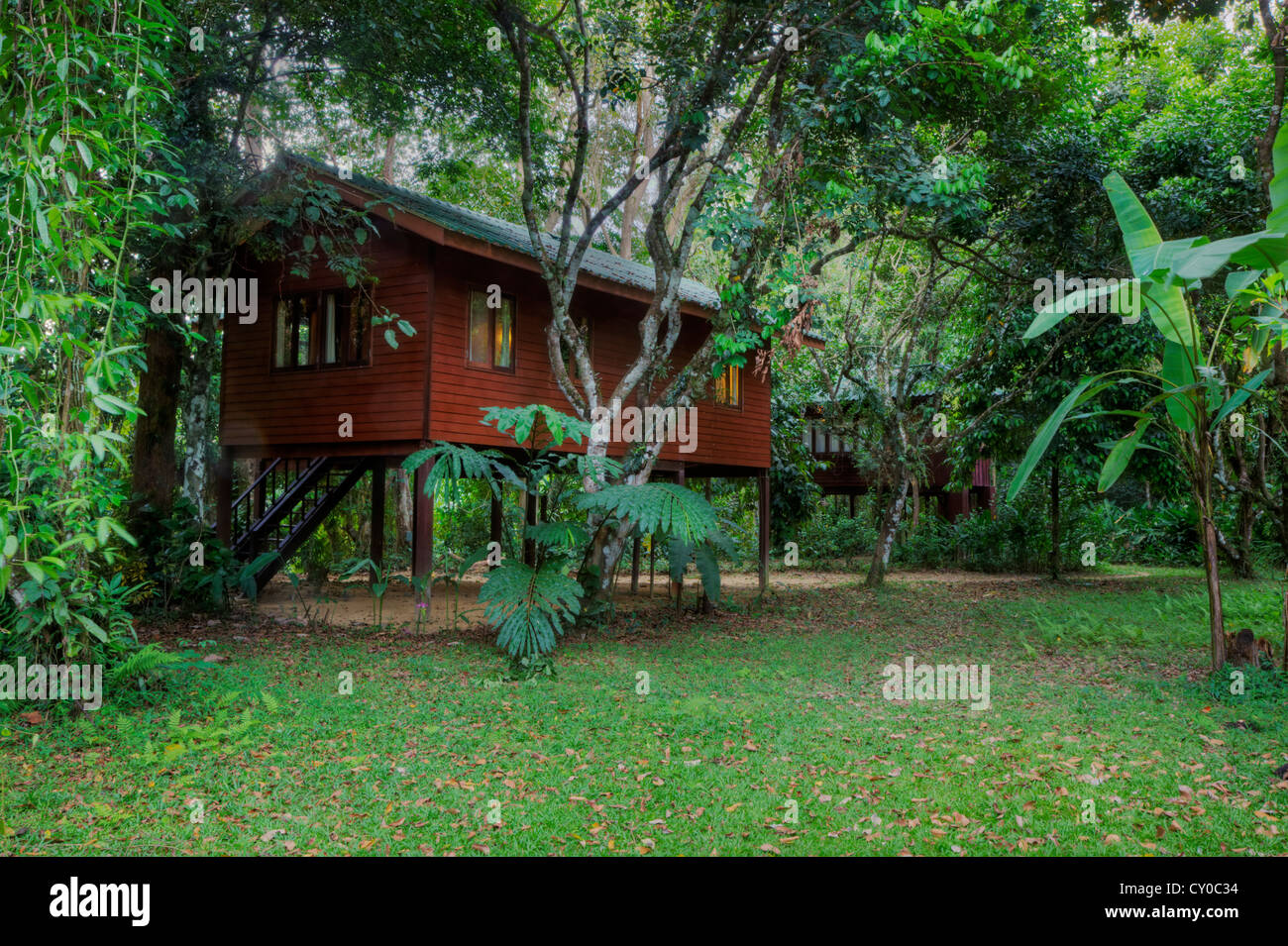 BAUMHÄUSER sind die Spezialität von OUR JUNGLE HOUSE eine Lodge in der Nähe von KHAO SOK Nationalpark - SURATHANI PROVENCE, THAILAND Stockfoto