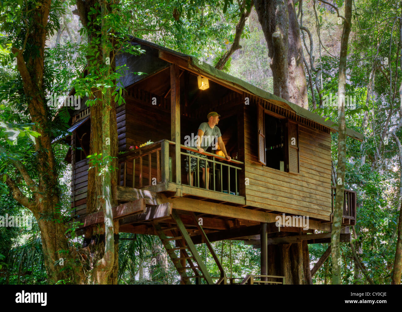 BAUMHÄUSER sind die Spezialität von OUR JUNGLE HOUSE eine Lodge in der Nähe von KHAO SOK Nationalpark - Herr SURATHANI PROVENCE, THAILAND Stockfoto