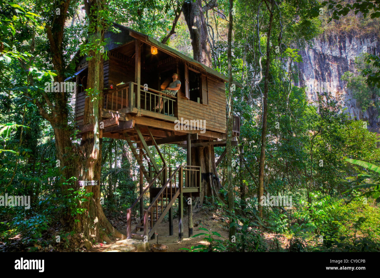 BAUMHÄUSER sind die Spezialität von OUR JUNGLE HOUSE eine Lodge in der Nähe von KHAO SOK Nationalpark - Herr SURATHANI PROVENCE, THAILAND Stockfoto